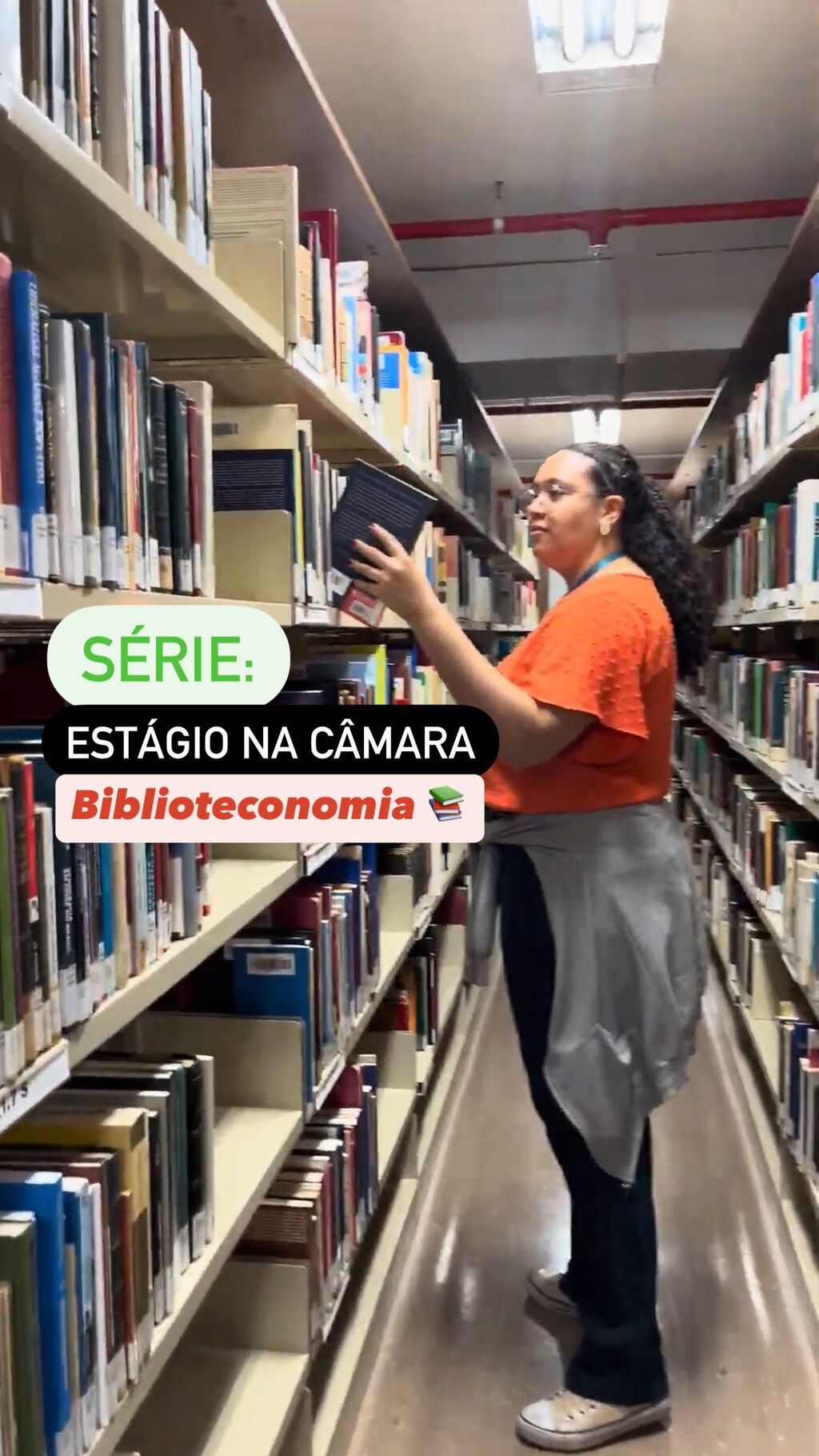 Est&aacute;gio
