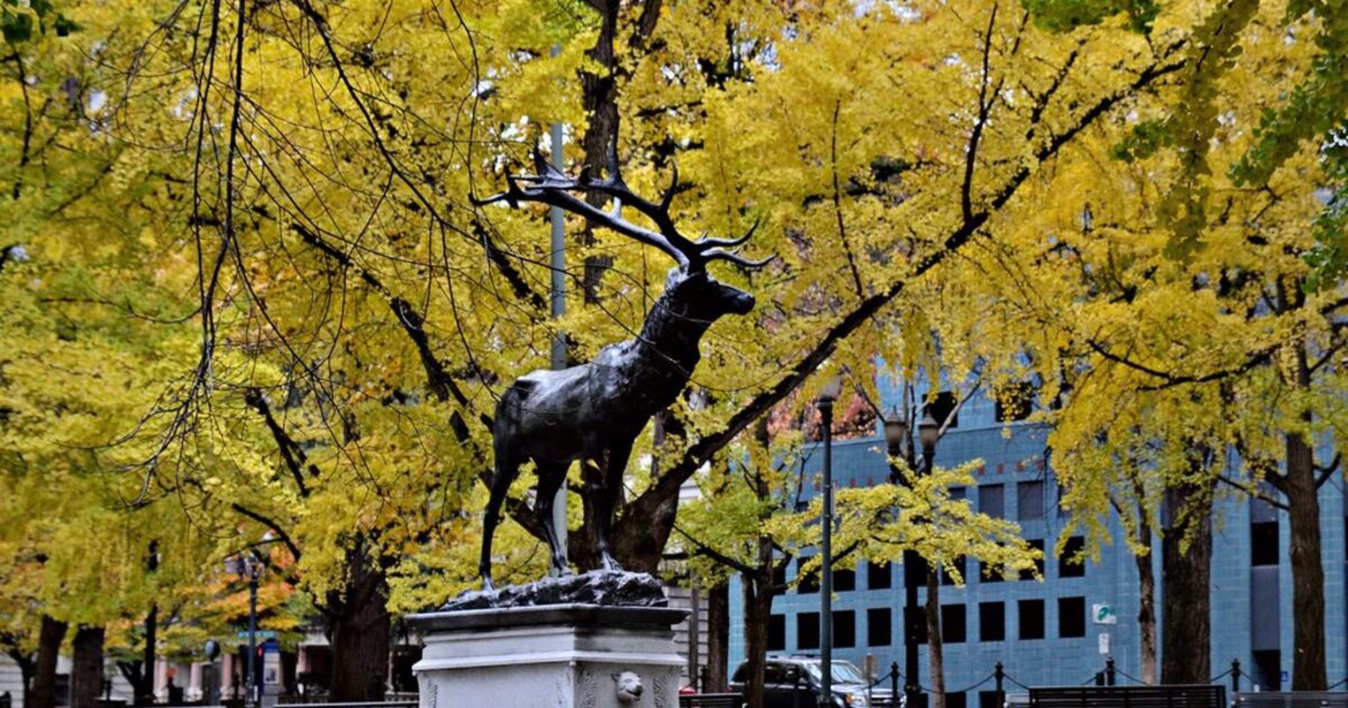 Thompson Elk Fountain Restoration Project