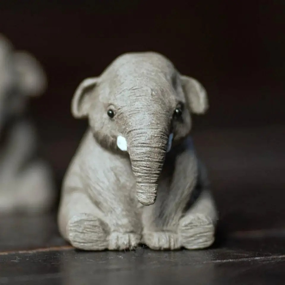 Small Elephant