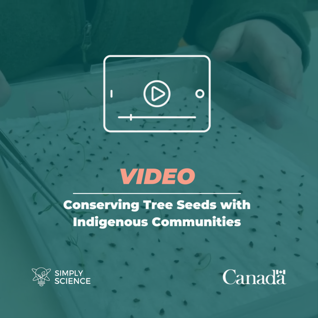 Conserving Tree Seeds with Indigenous Communities