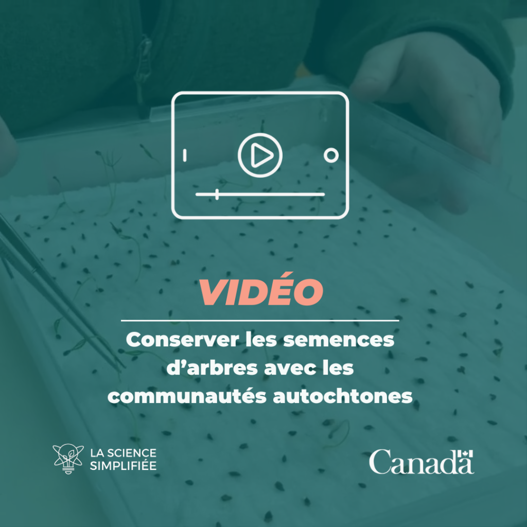 Conserver les semences d&rsquo;arbres avec les communaut&eacute;s autochtones