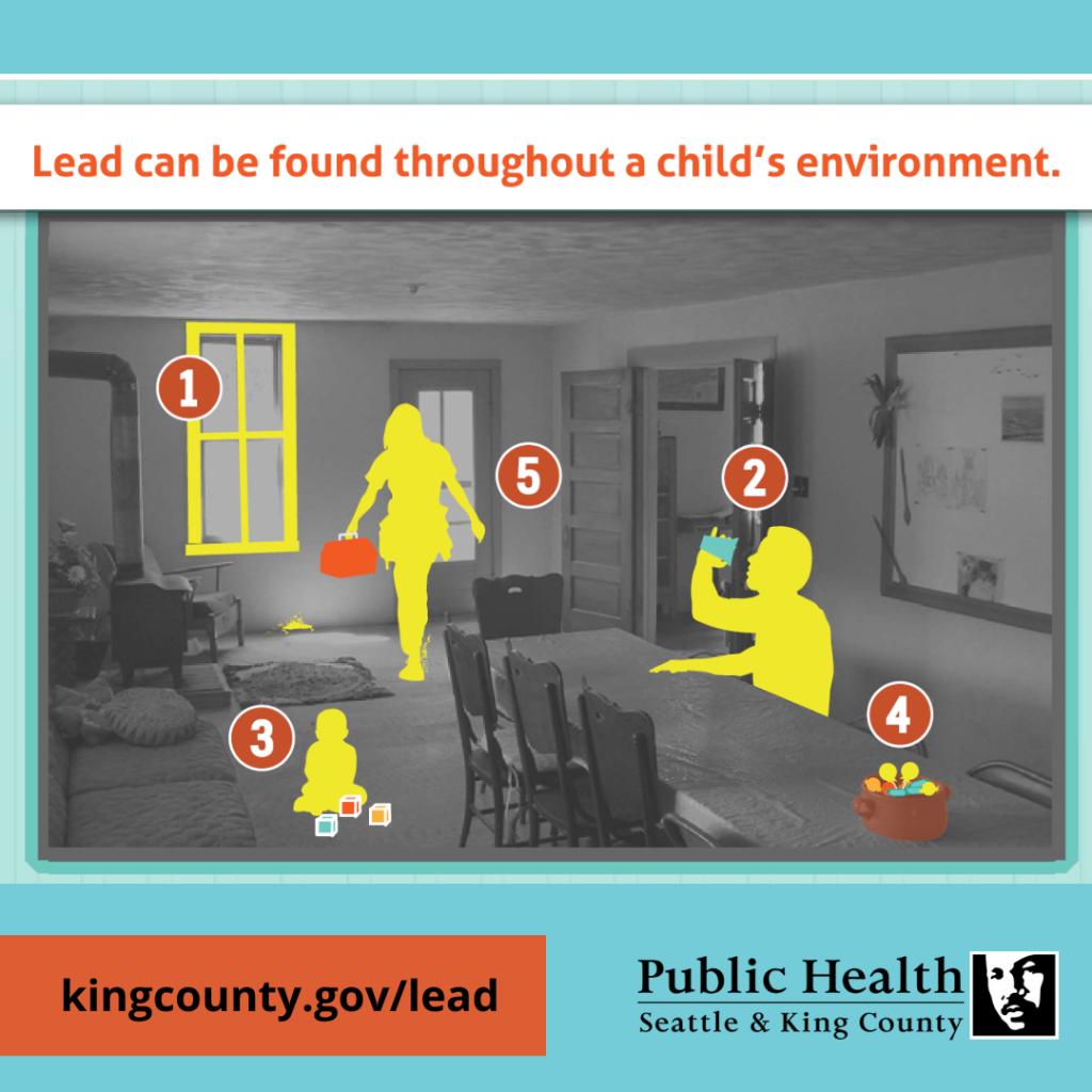 Sources of lead - King County, Washington