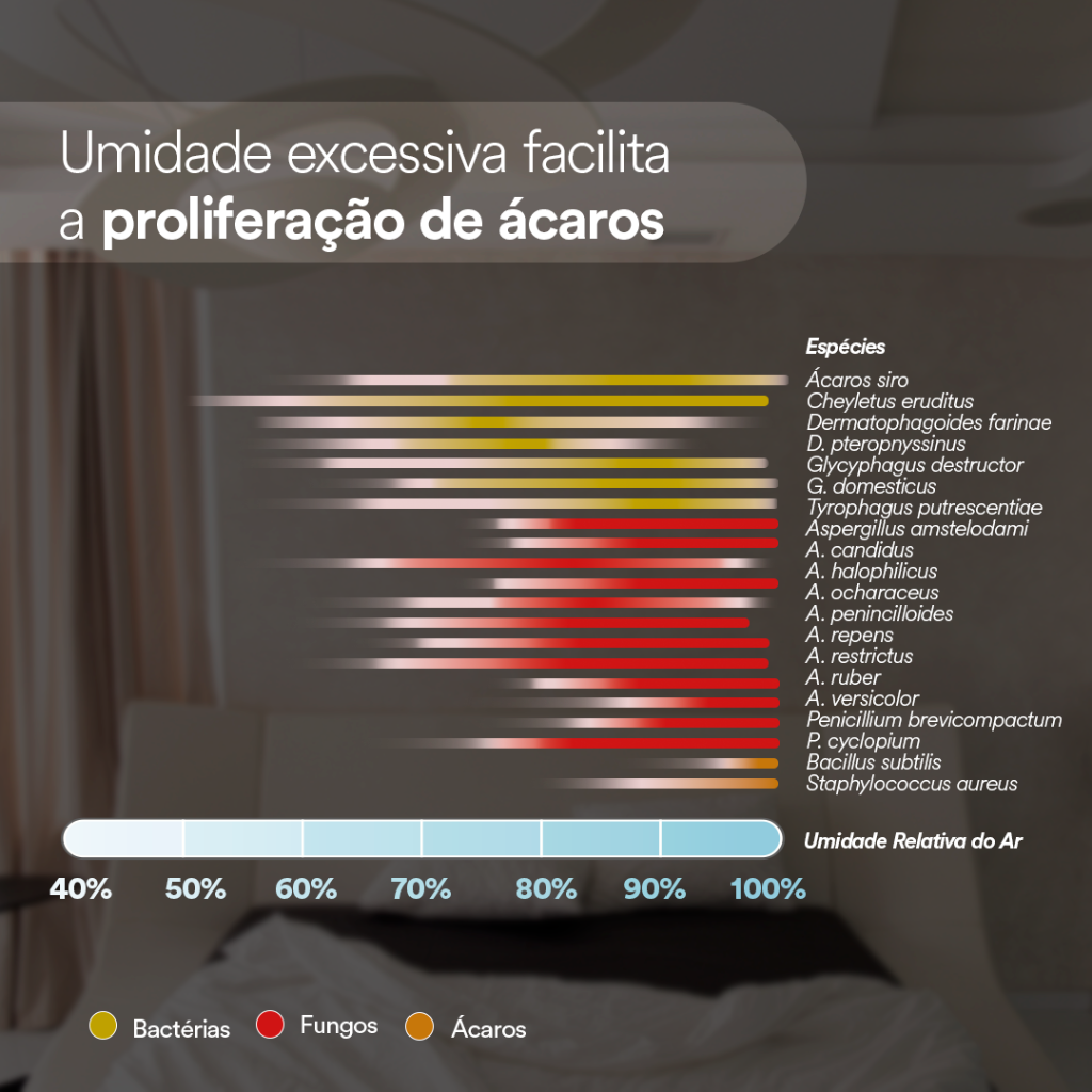 &Aacute;caros 