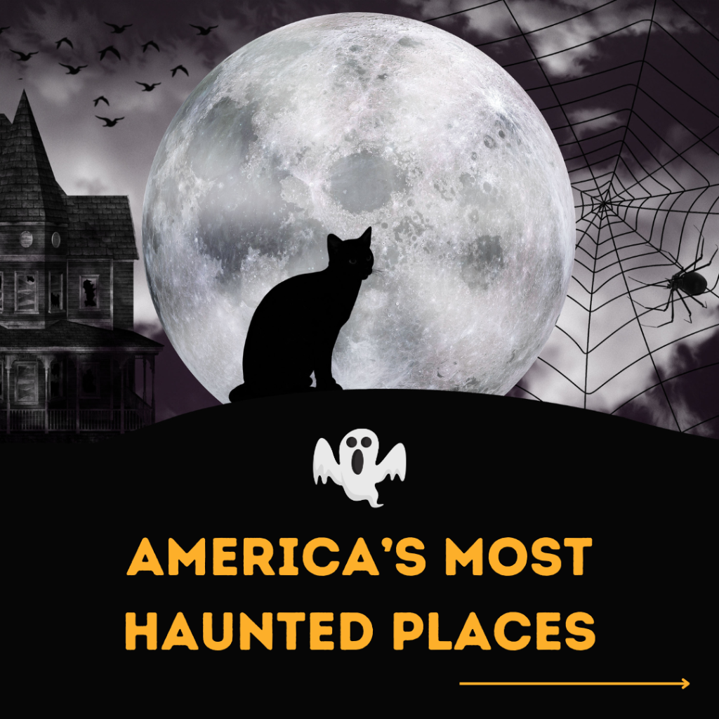 👻 It&rsquo;s Spooktober! Ready for a spooky adventure? 🕸️