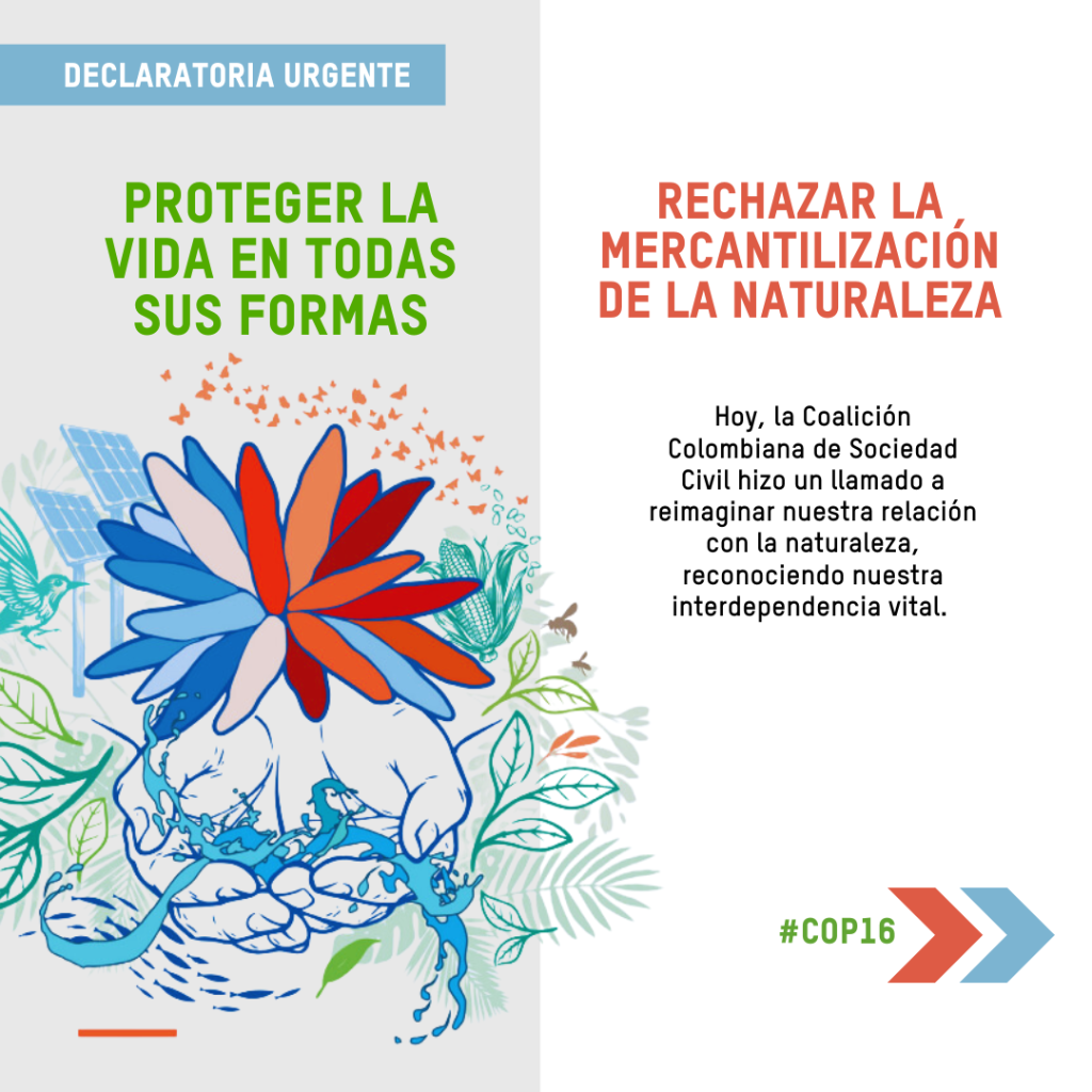 Declaratoria colaci&oacute;n COP16