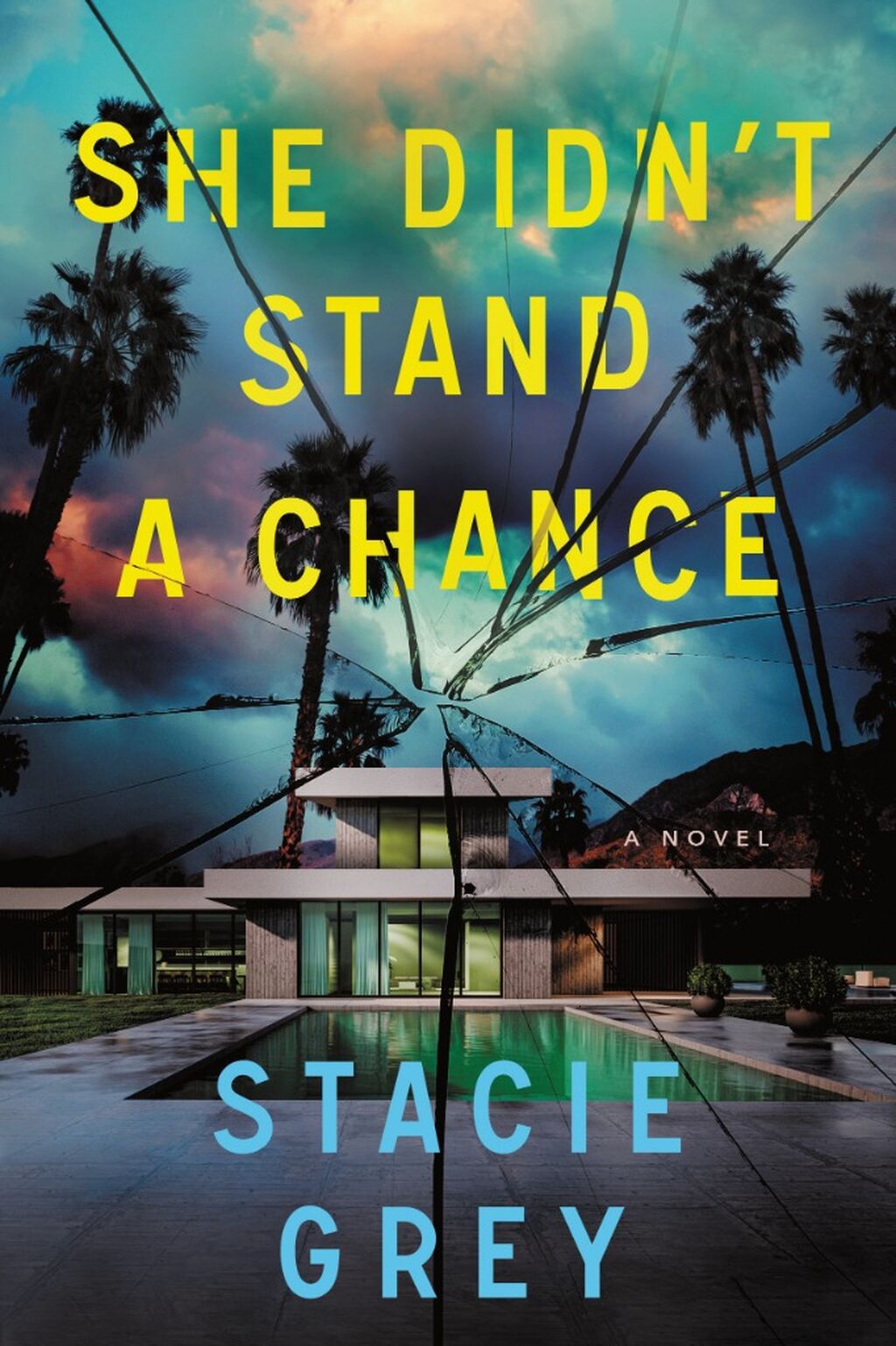 Order SHE DIDN'T STAND A CHANCE by Stacie Grey