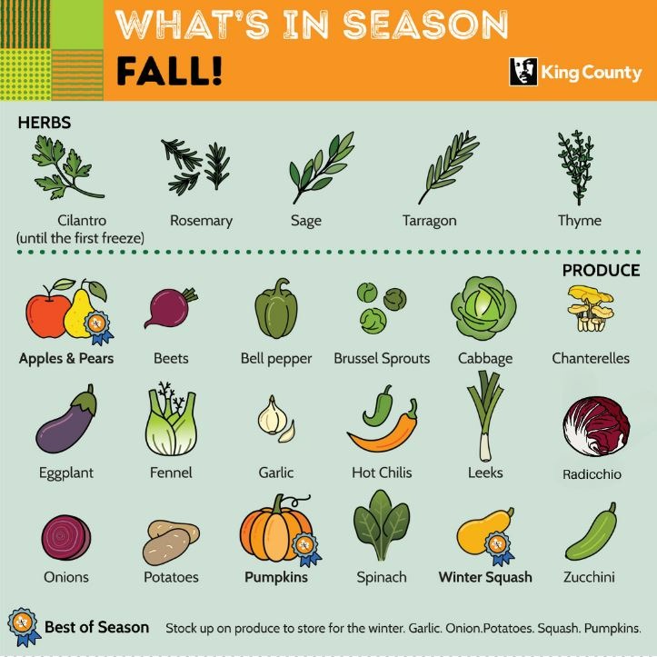 King County Local Food Initiative Community Survey