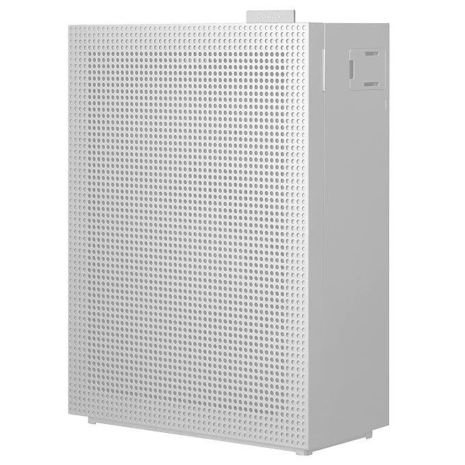 Coway Air Purifier - Covers 335 sq.ft. (Mandy uses)