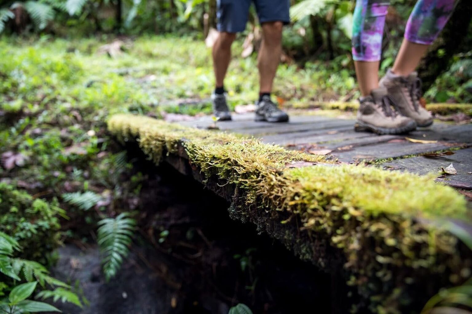 Top Fall Excursions in the Caribbean &ndash; Secret Bay