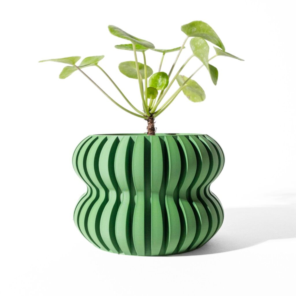 The Daso Planter