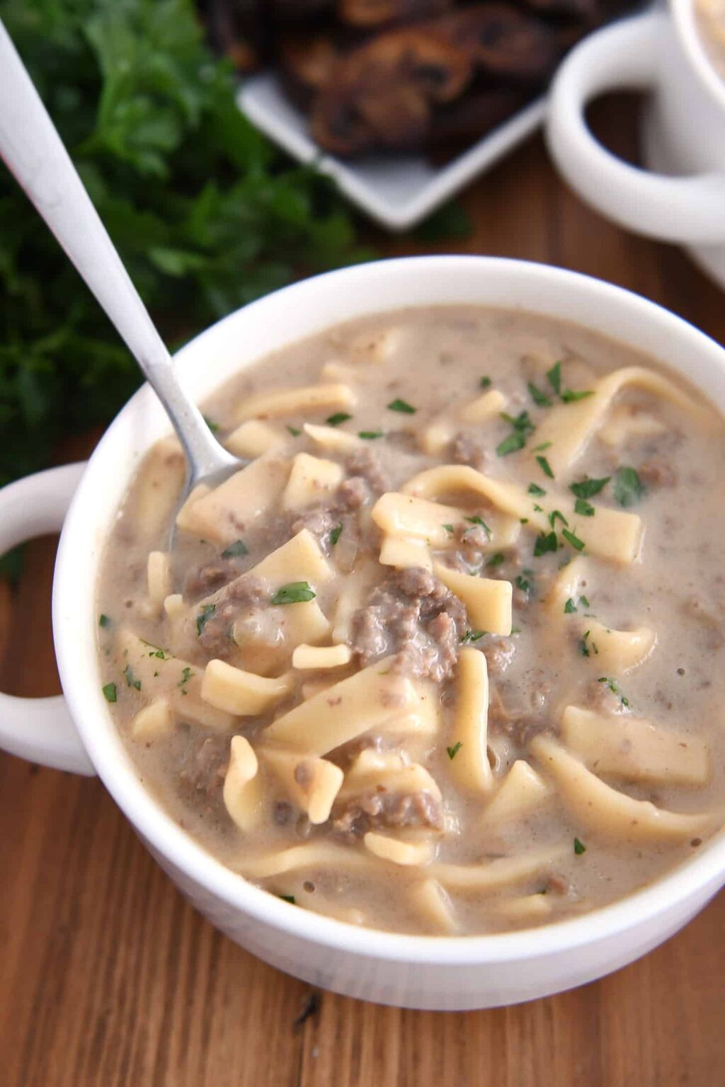 Easy Beef Stroganoff Soup