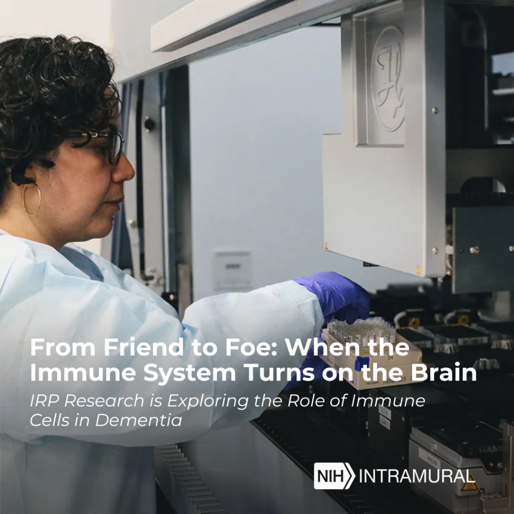  From Friend to Foe: When the Immune System Turns on the Brain