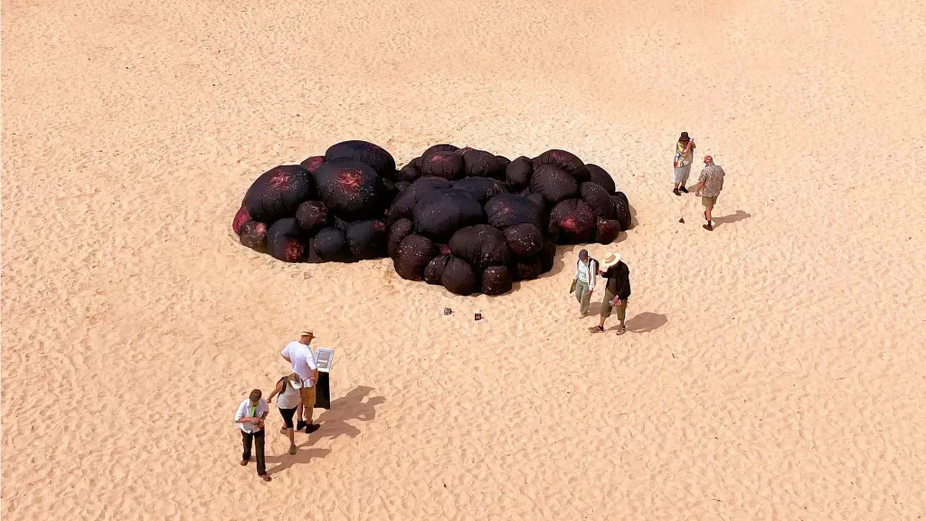 This giant, growing melanoma on a Sydney beach promotes sun safety in Australia