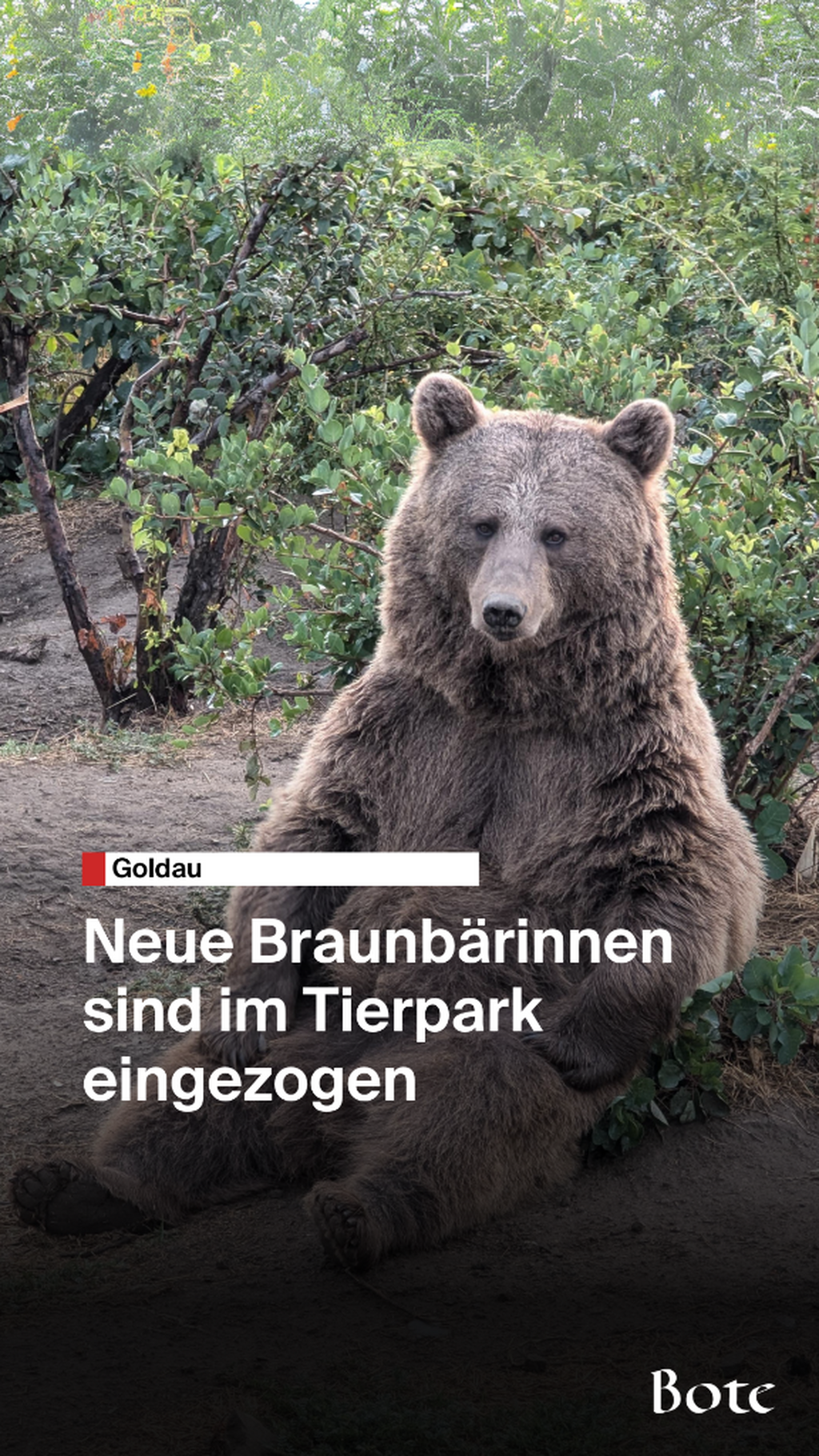 Tierpark