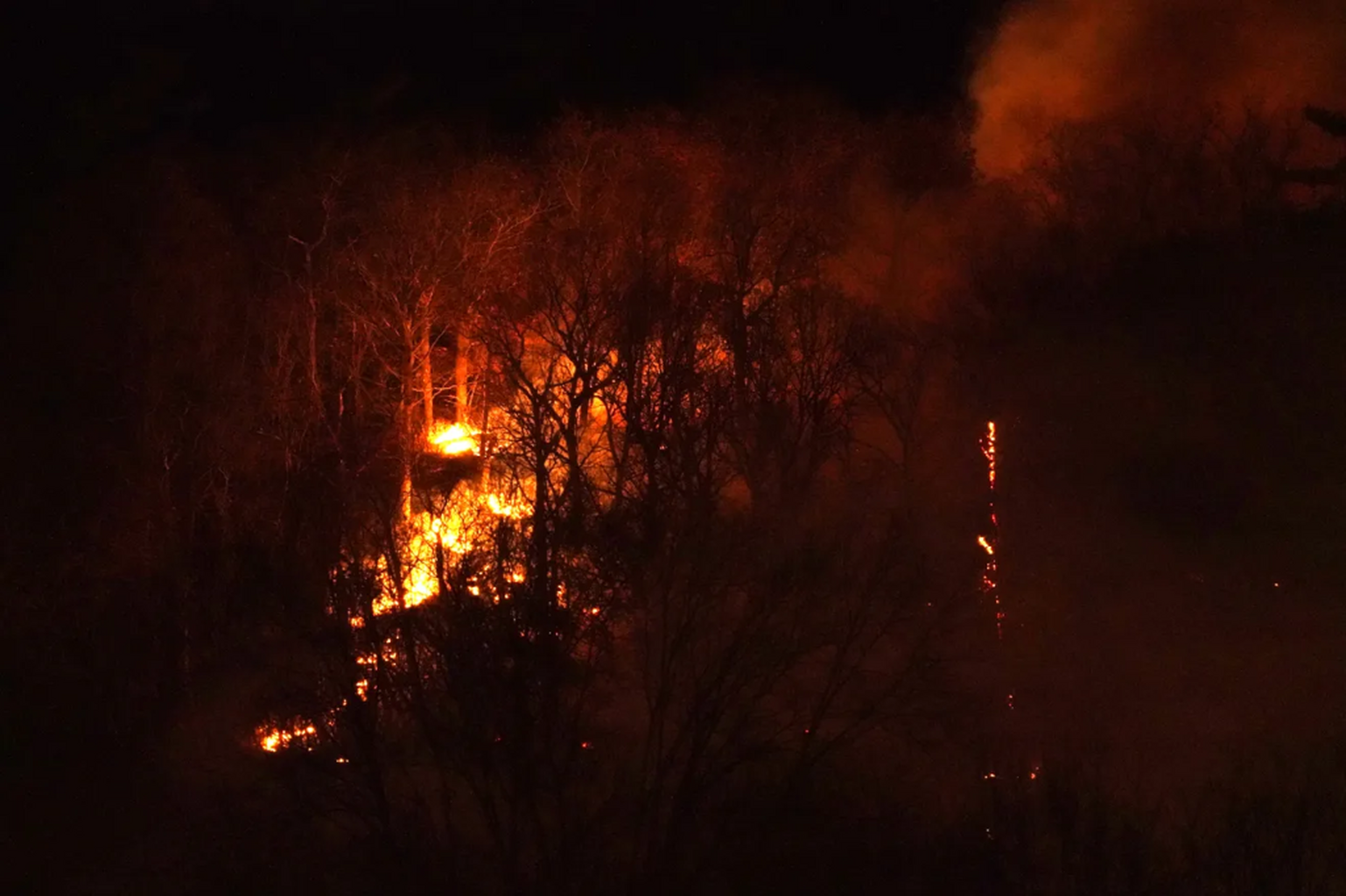 New Jersey Battles Wildfires Among Dry Conditions: Here&rsquo;s What To Know