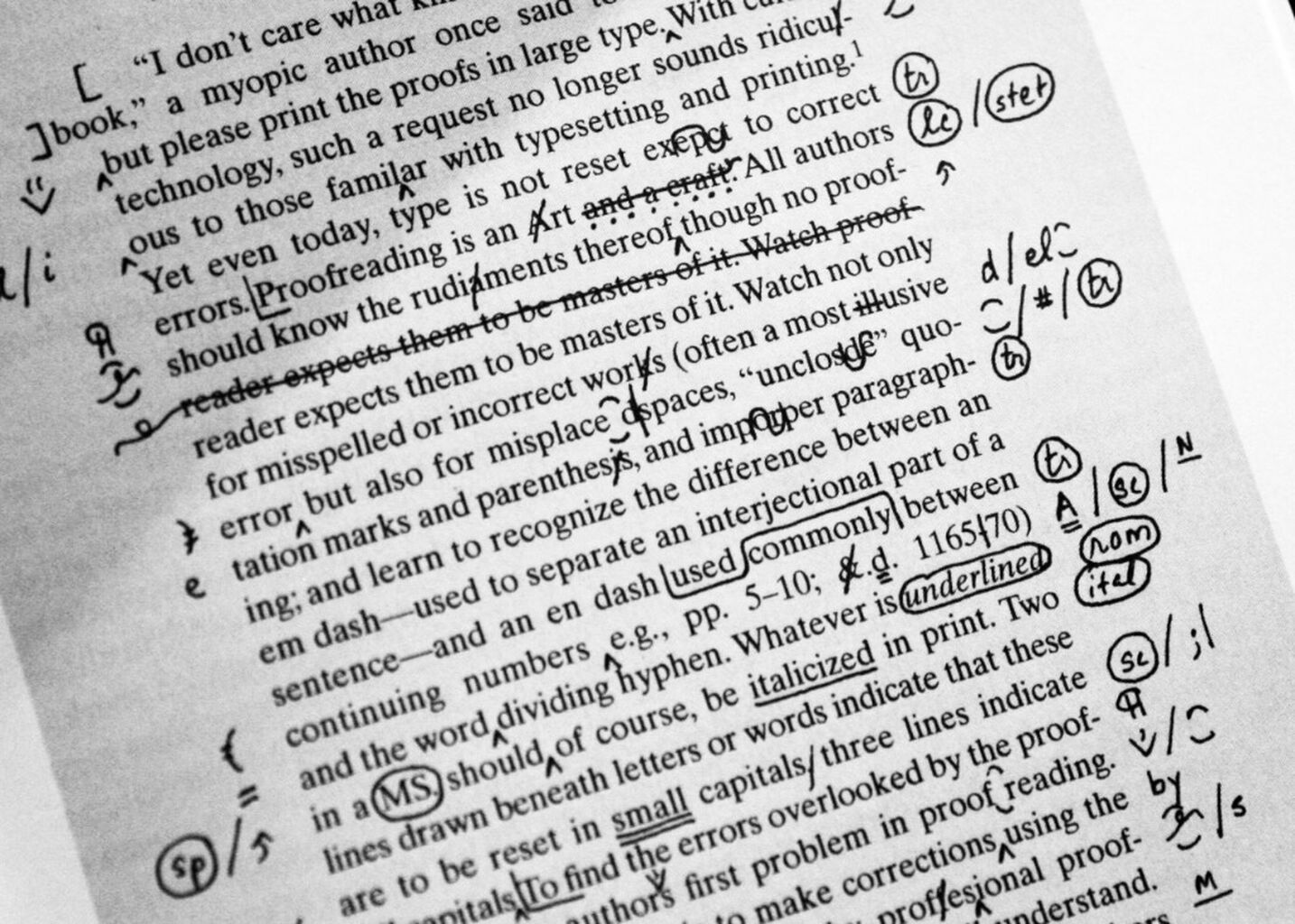 Holy Cow! (In Defense of a Mistake): On Proofreading, Perfectionism, and the Gift of Weakness [Substack]
