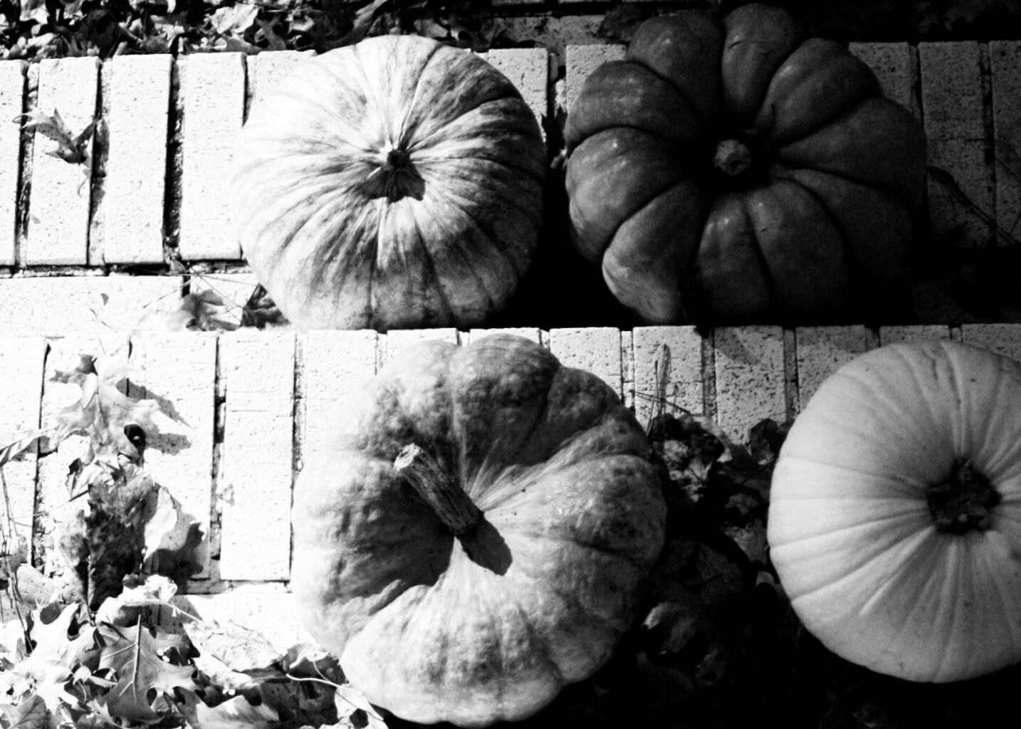 Evil Doesn’t Look Like Halloween: On Reason and Love [Substack]