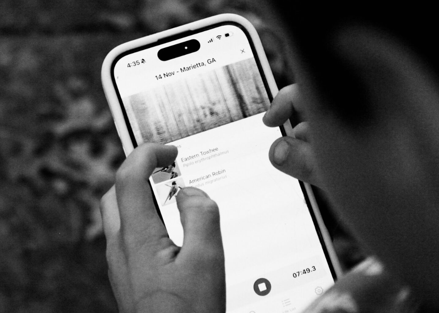 This Kingdom is for the Birds: On Suburban Birdsongs and the Art of Familiarity; and a Feasible Call to Action for American Evangelicals [Substack]