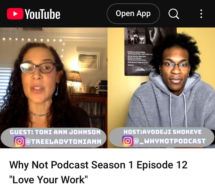 WHY NOT Podcast