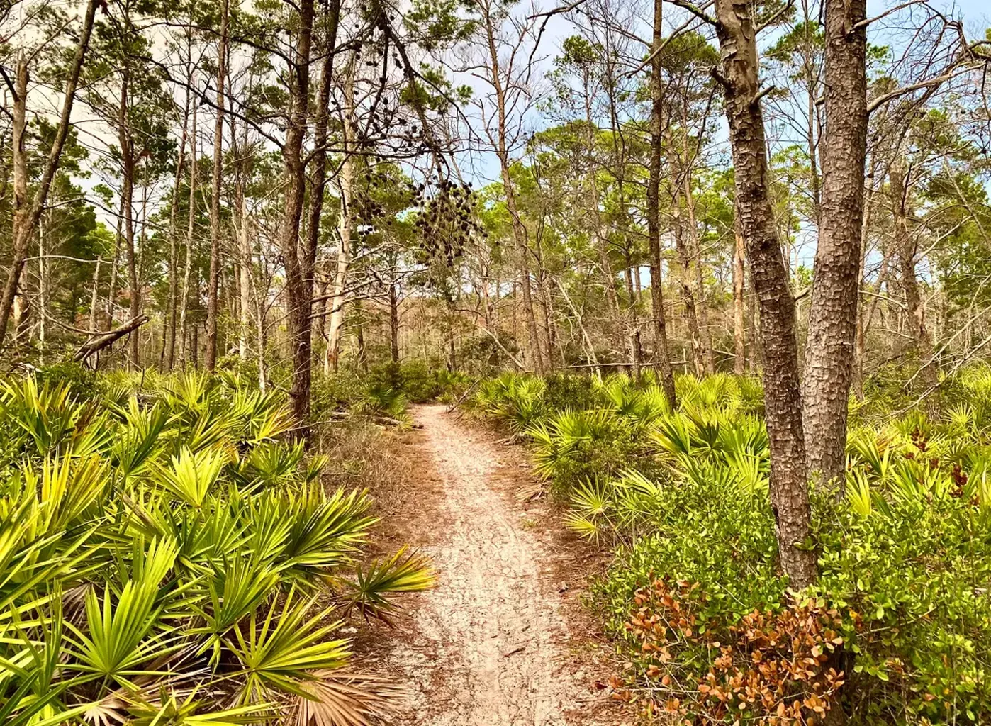 Watershed AllTrails