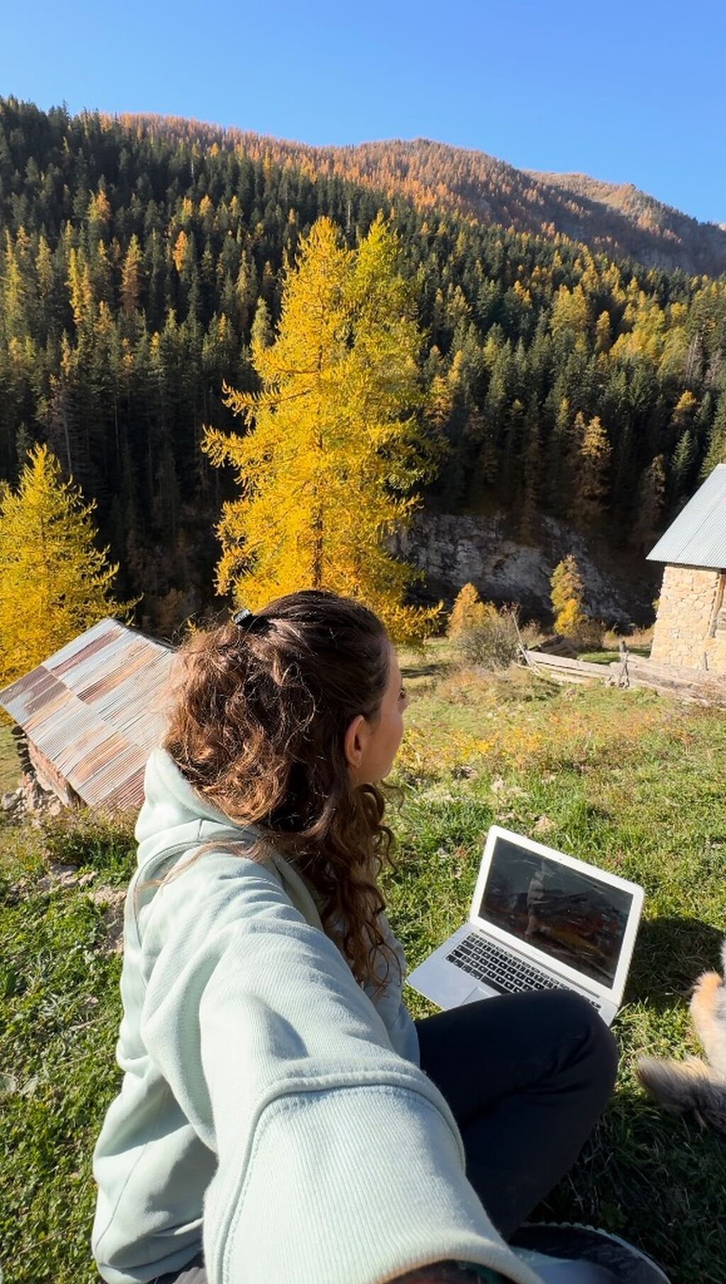Assistante Virtuelle 
