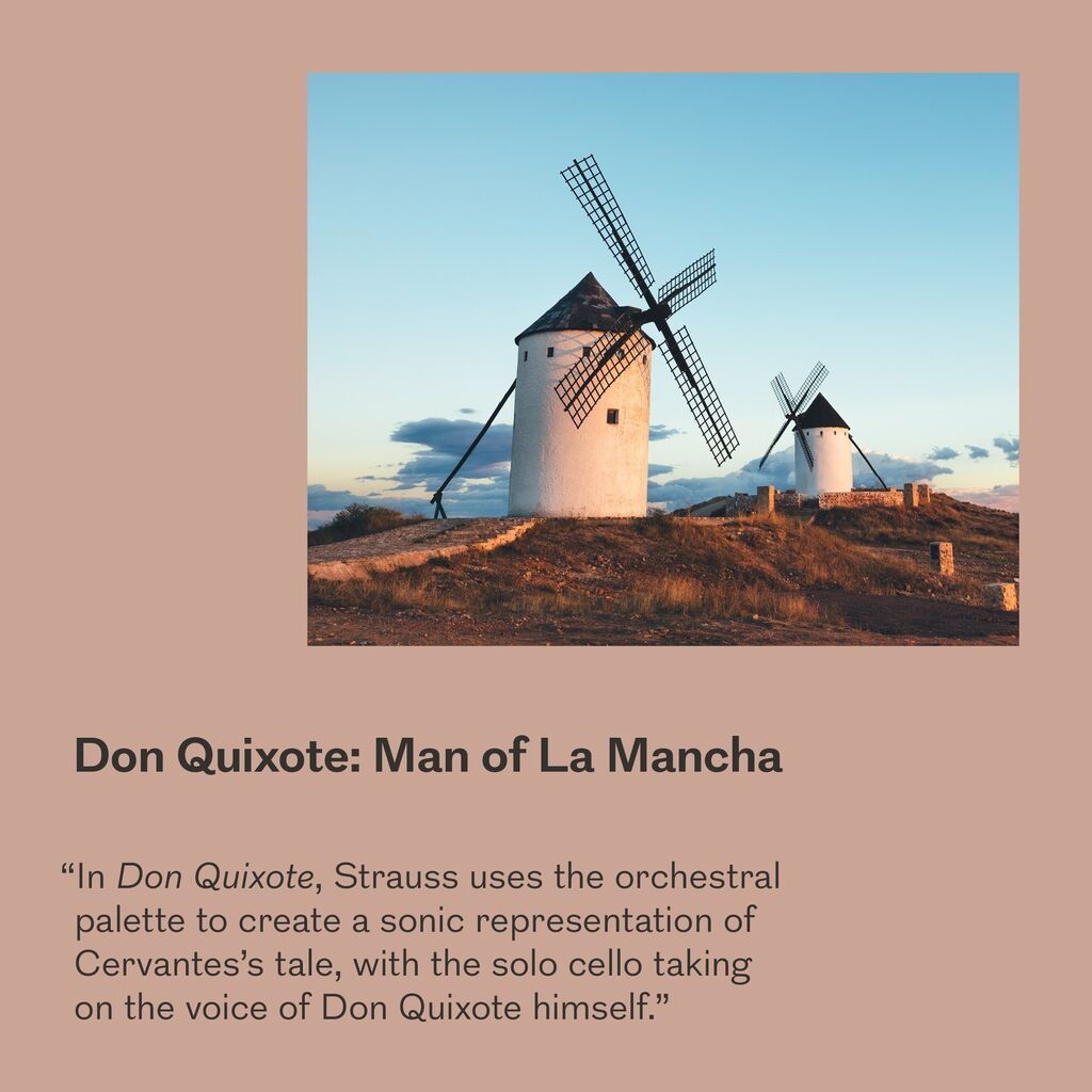 Don Quixote: Man of La Mancha