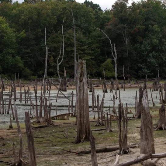 New Jersey Needs To Conserve Water, Warming Center Available Ahead Of Winter, And More