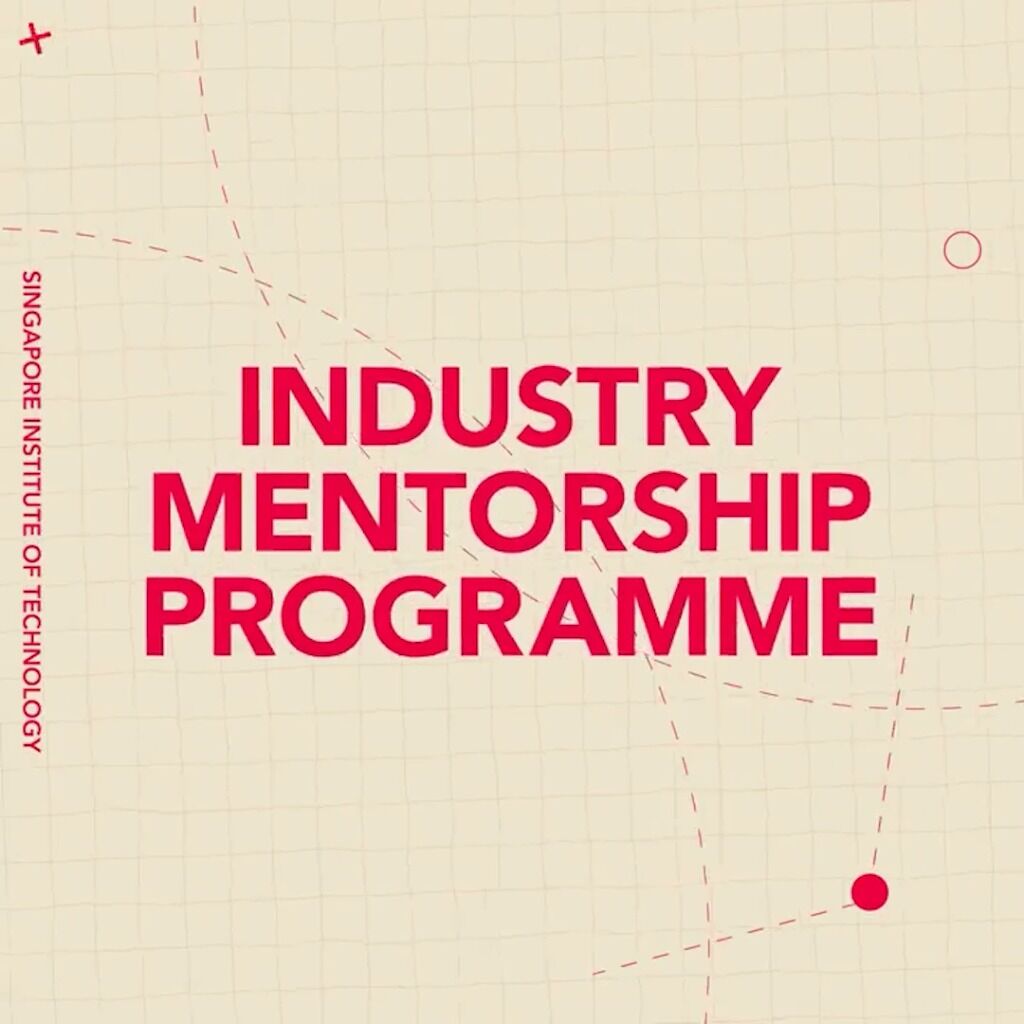 Industry Mentorship Programme