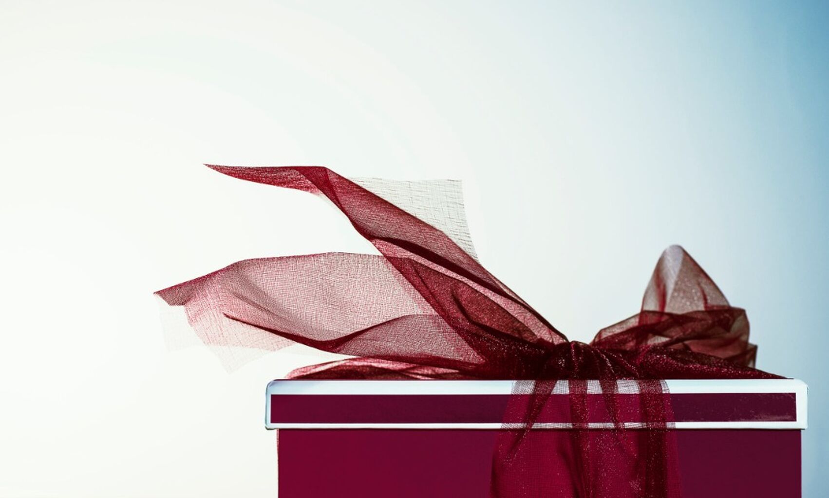 The Fourth Wellness Gift Guide