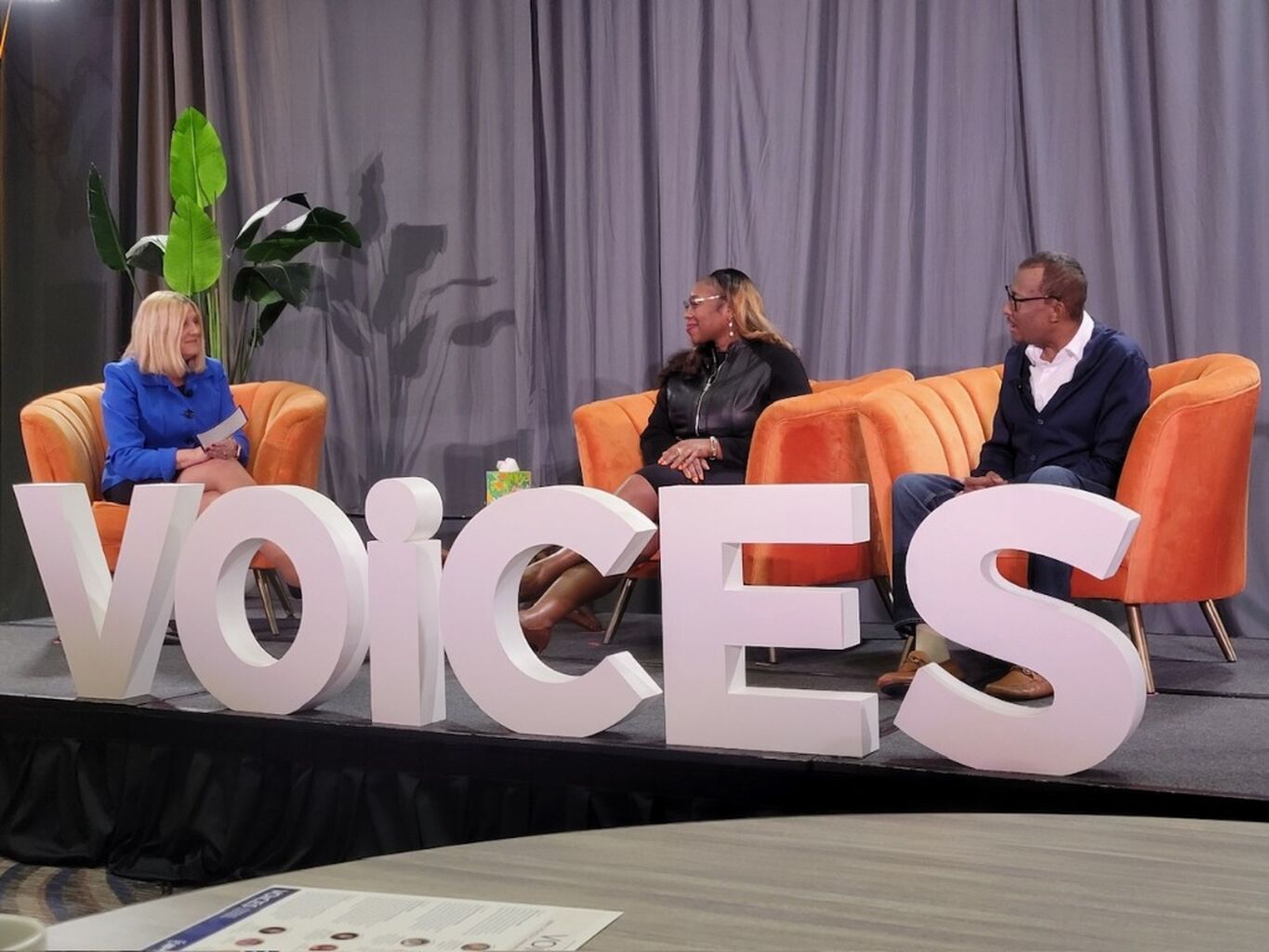 ALF's Lorraine Stiehl Moderates Voices Discussion at AASLD
