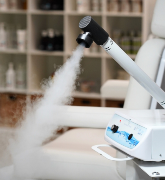 Blu Stream Steamer