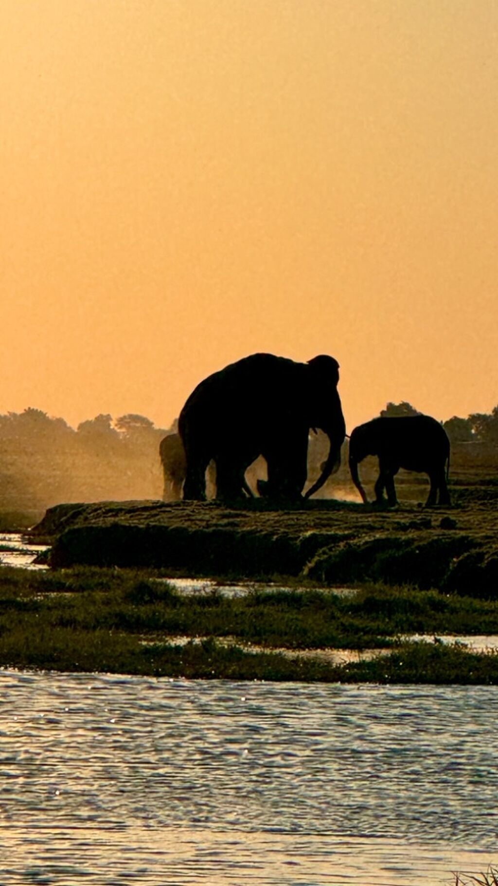 AFRICAN TOUR 