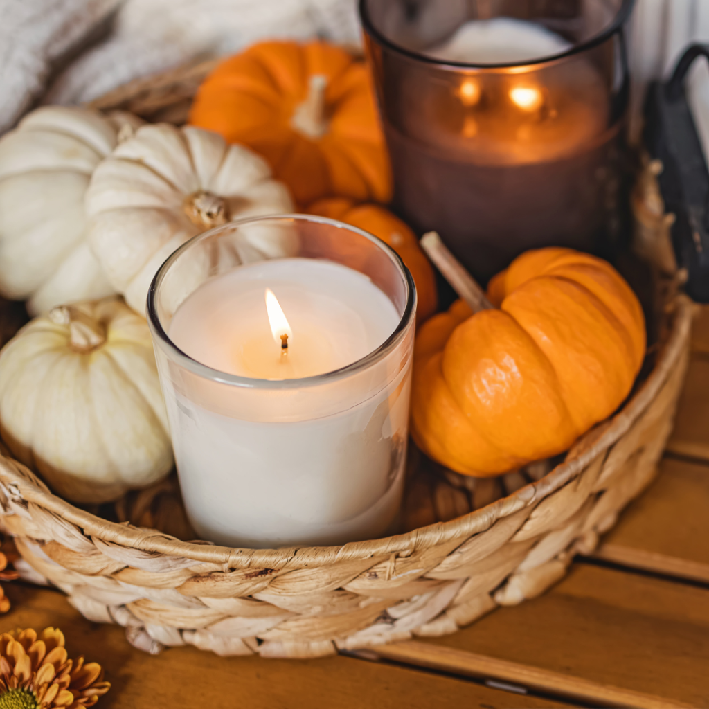 🍂 Save money this fall with a Merchant Services Discount Program! 🍁