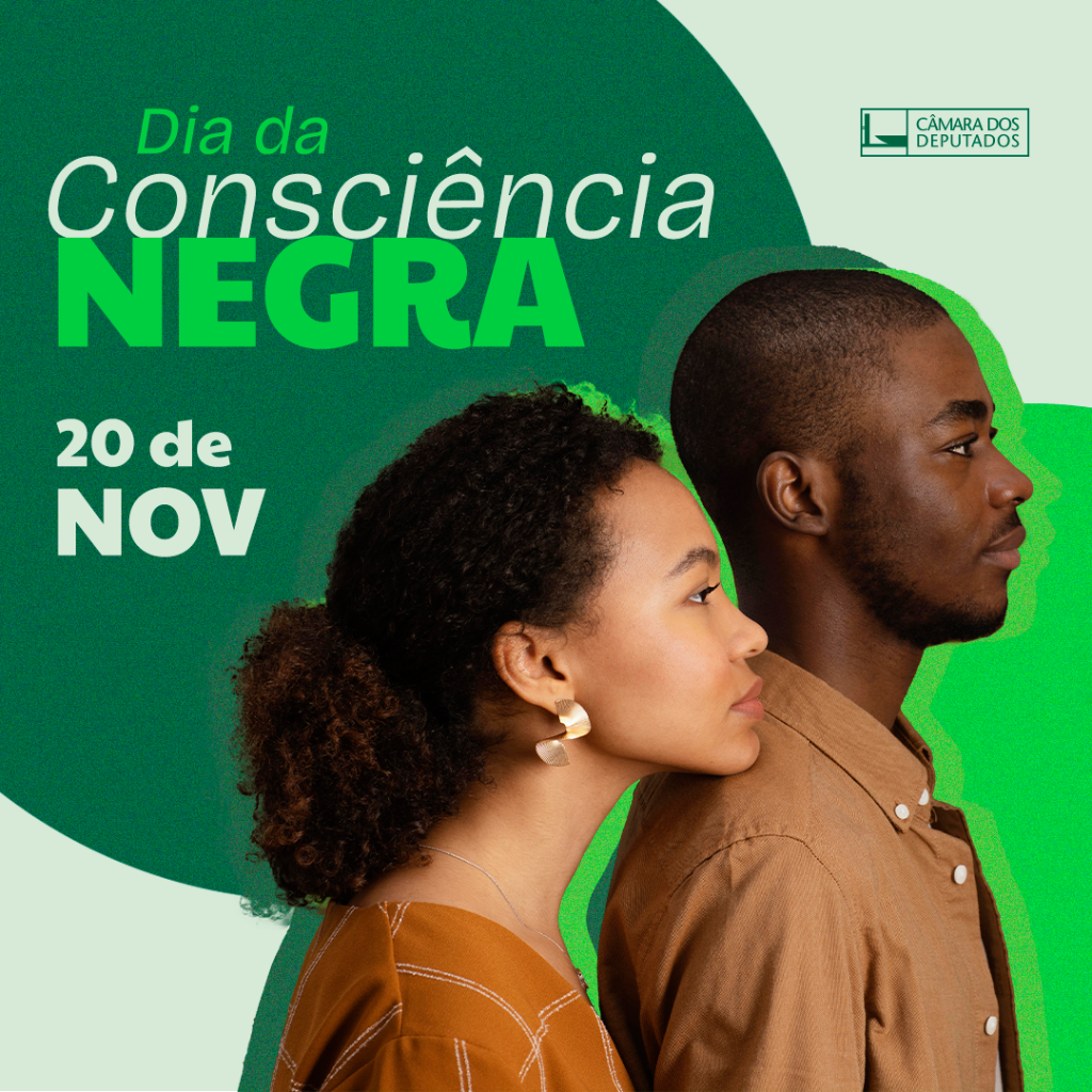 Direito &agrave; Igualdade Racial