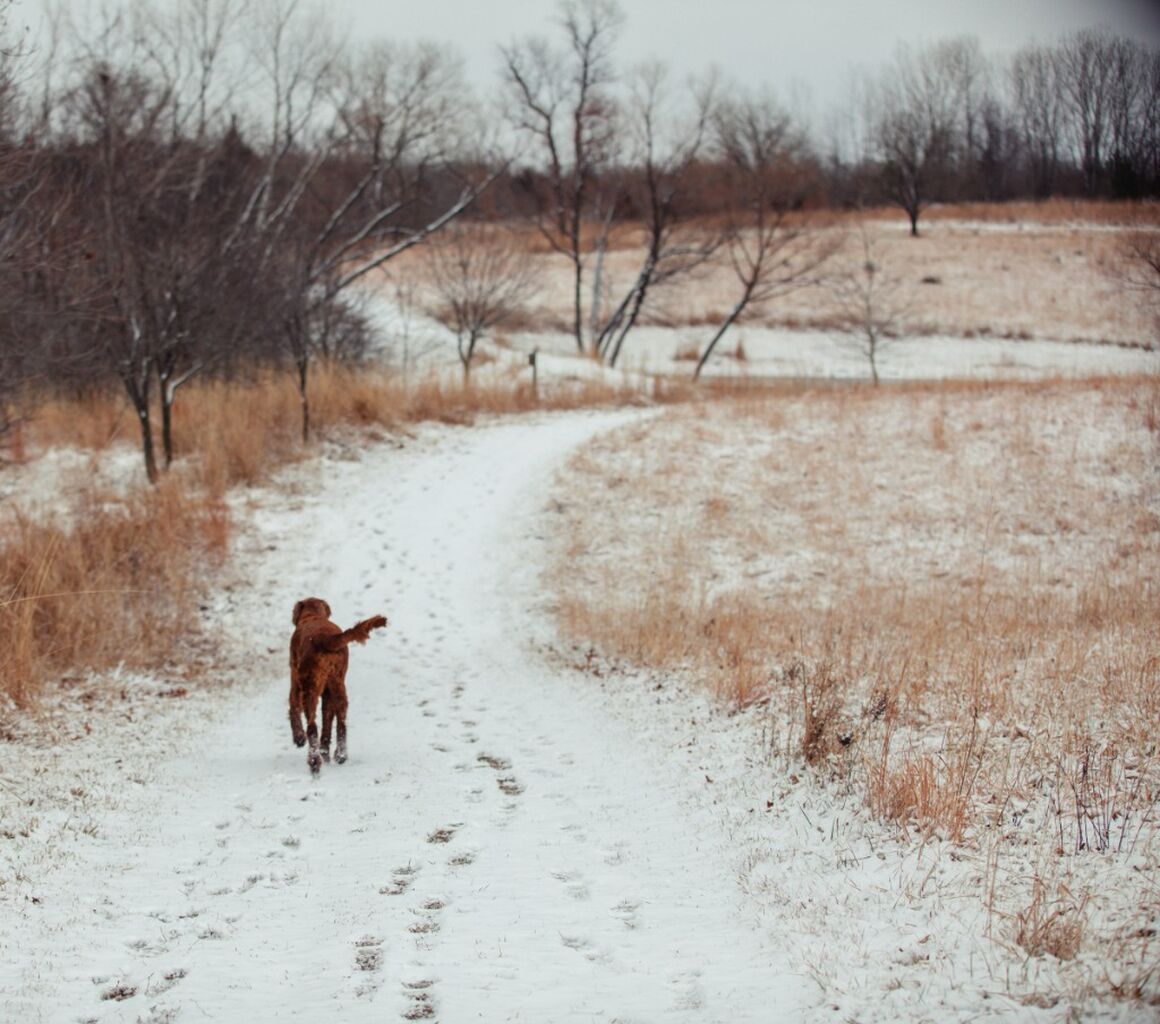 Winters in KS