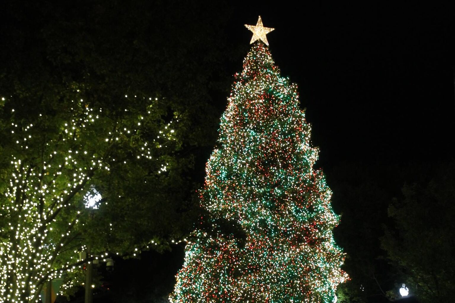 VIDEO: Chicago&rsquo;s Christmas tree decorated with 70K lights