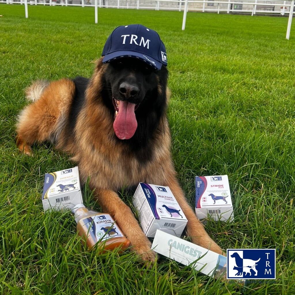 Kobi