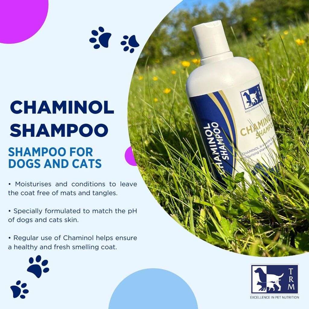 Chaminol