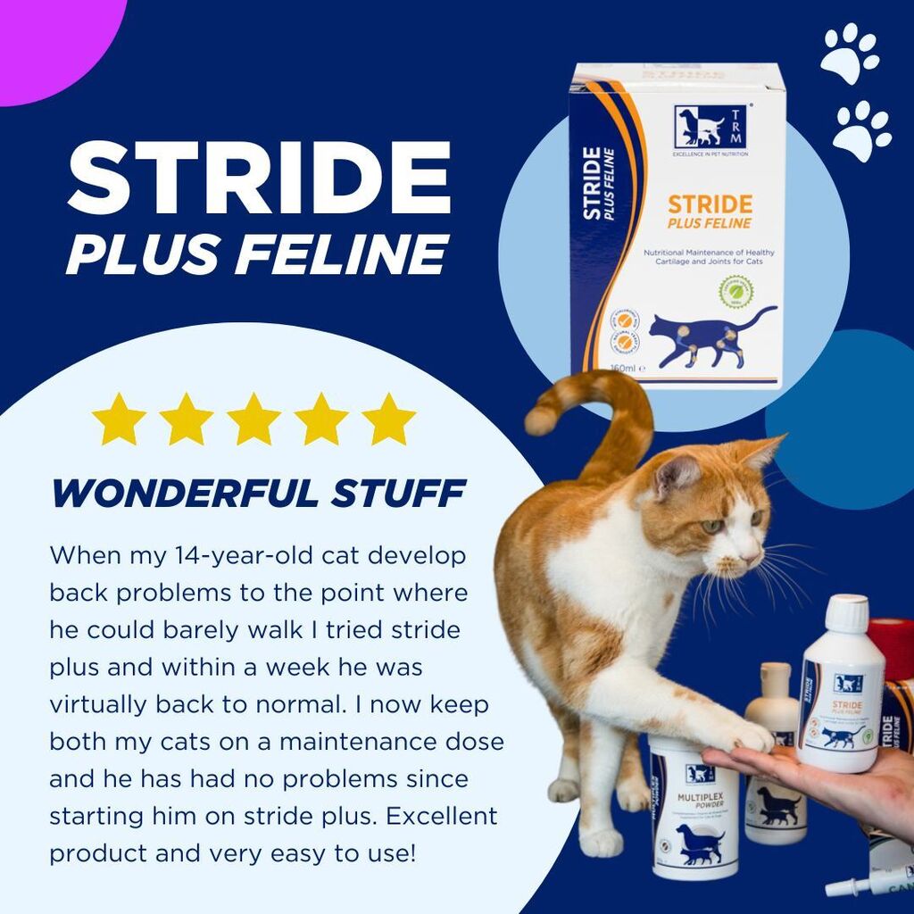 Stride Plus Feline