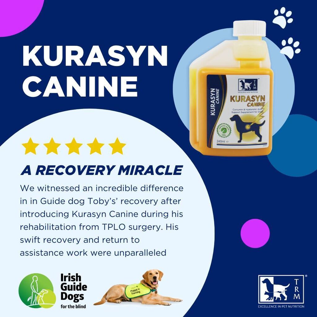 Kurasyn Review