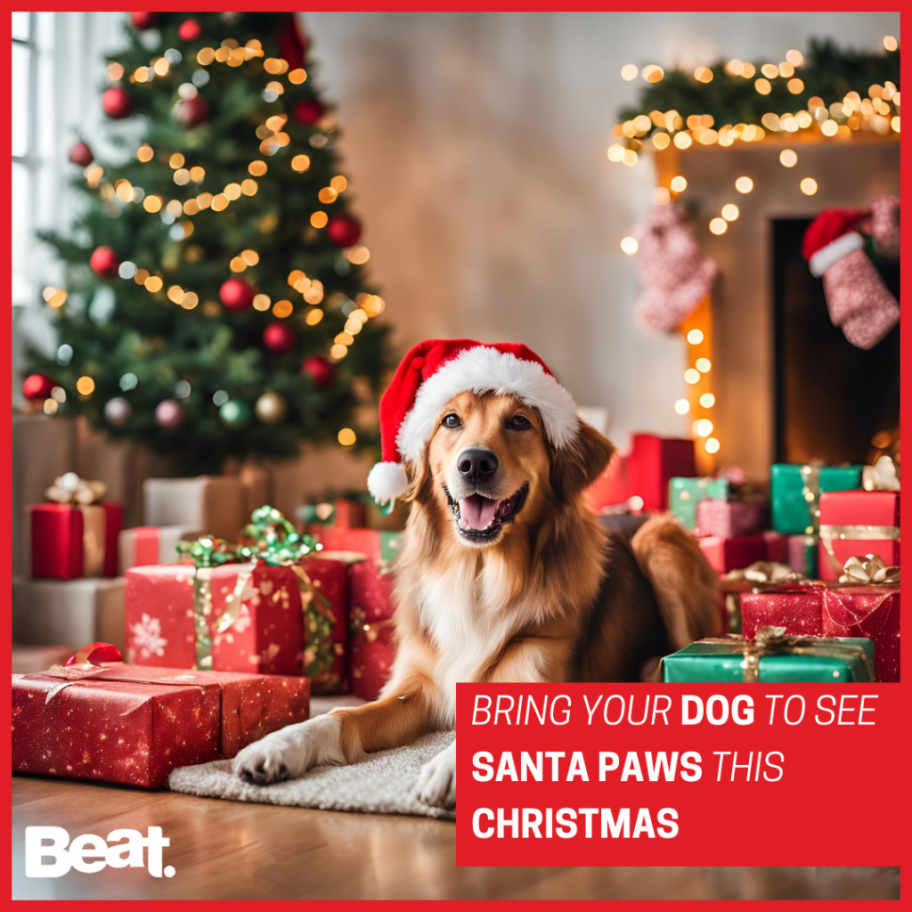 Bring your pup to Santa Paws in the South East