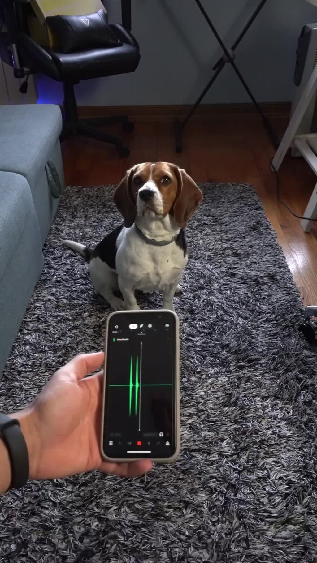 Try out BandLab's AI Tools