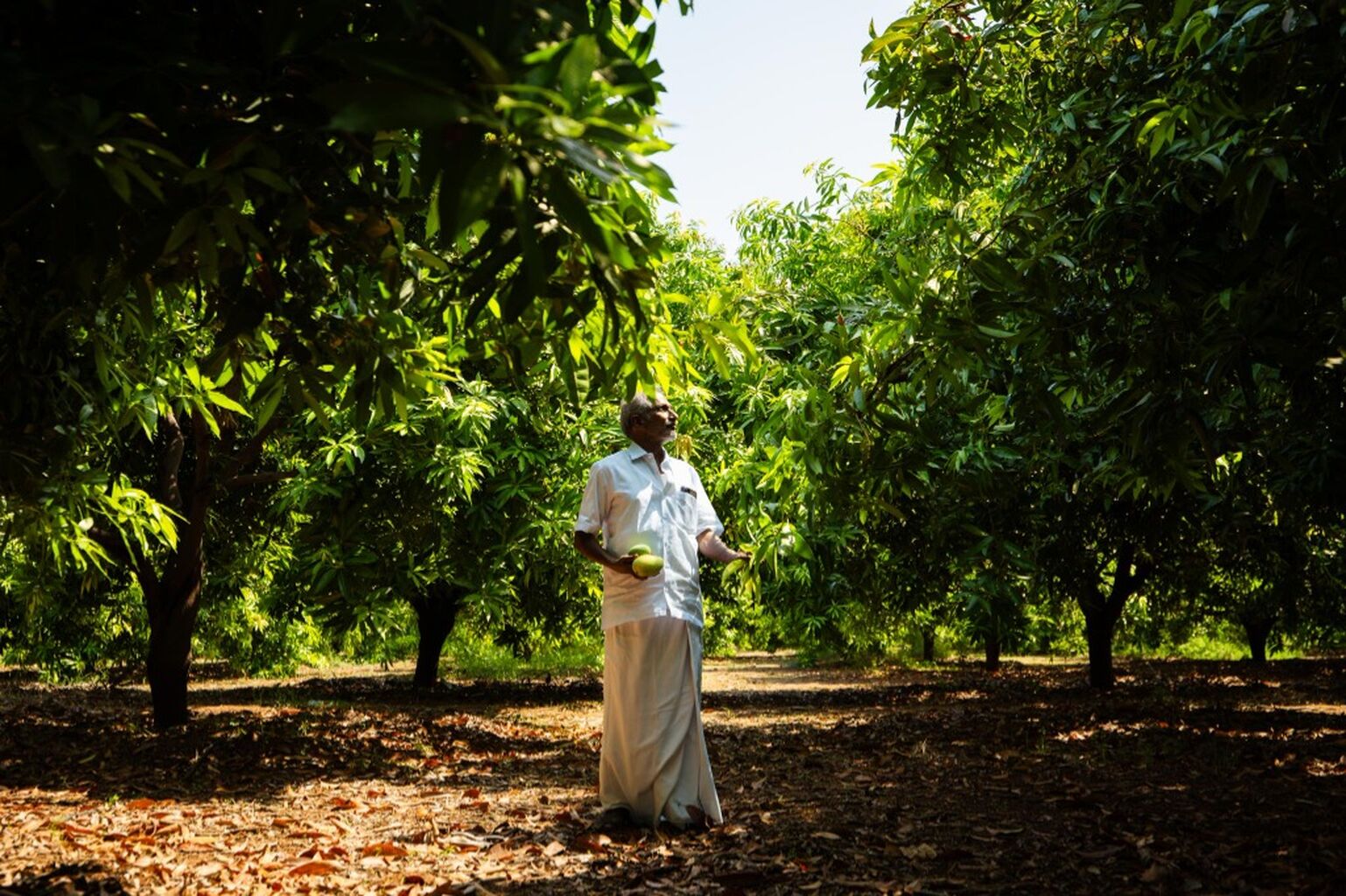 Know more about RDT&rsquo;s Ecology Sector Initiatives here!