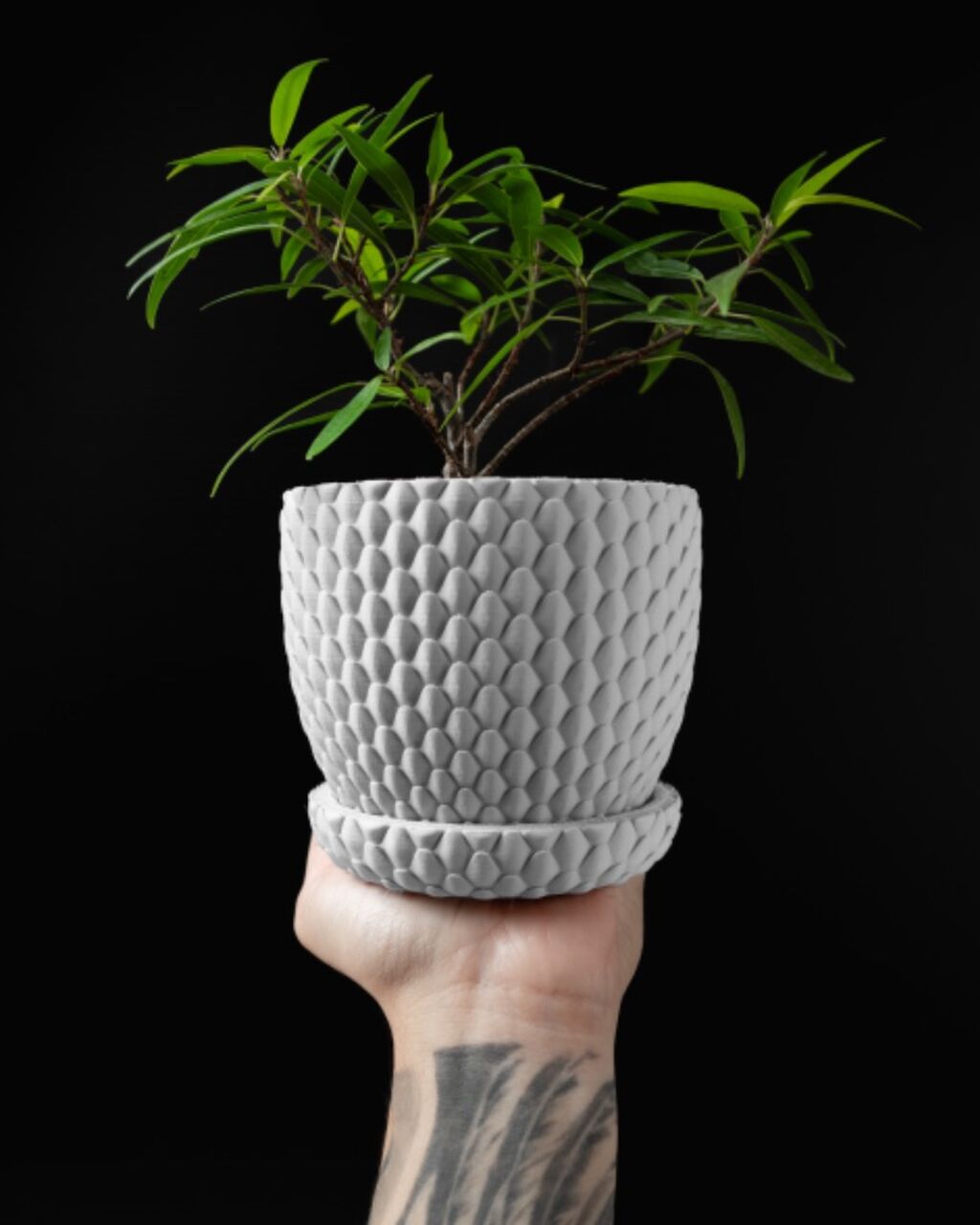 Dragonscale Planter 01