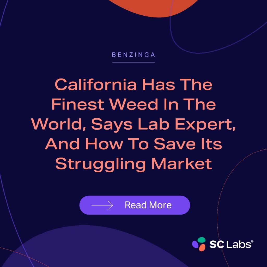 California Has The Finest Weed In The World, Says Lab Expert, And How To Save Its Struggling Market