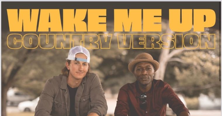 Stream "Wake Me Up (Country Version)"