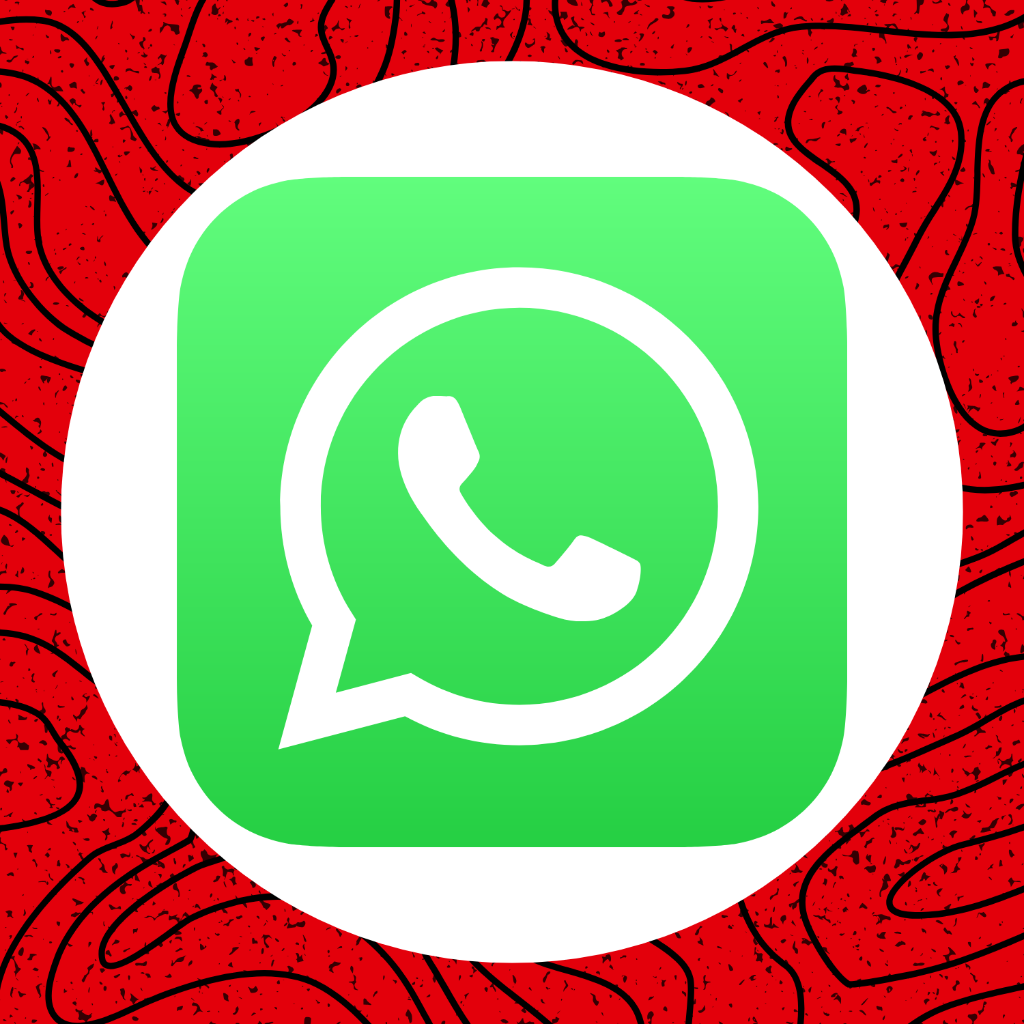 contact us on WHATSAPP