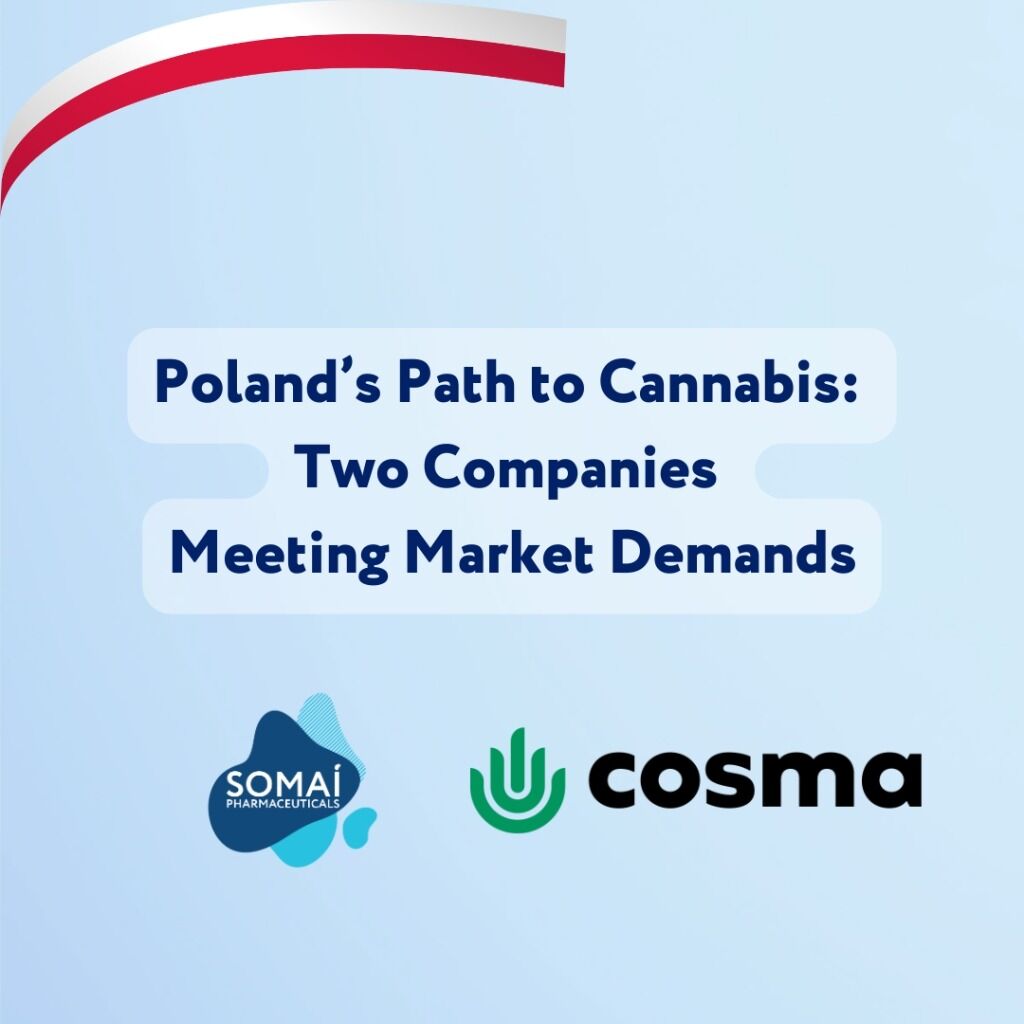 Poland&rsquo;s Path to Cannabis: Two Companies Meeting Market Demands