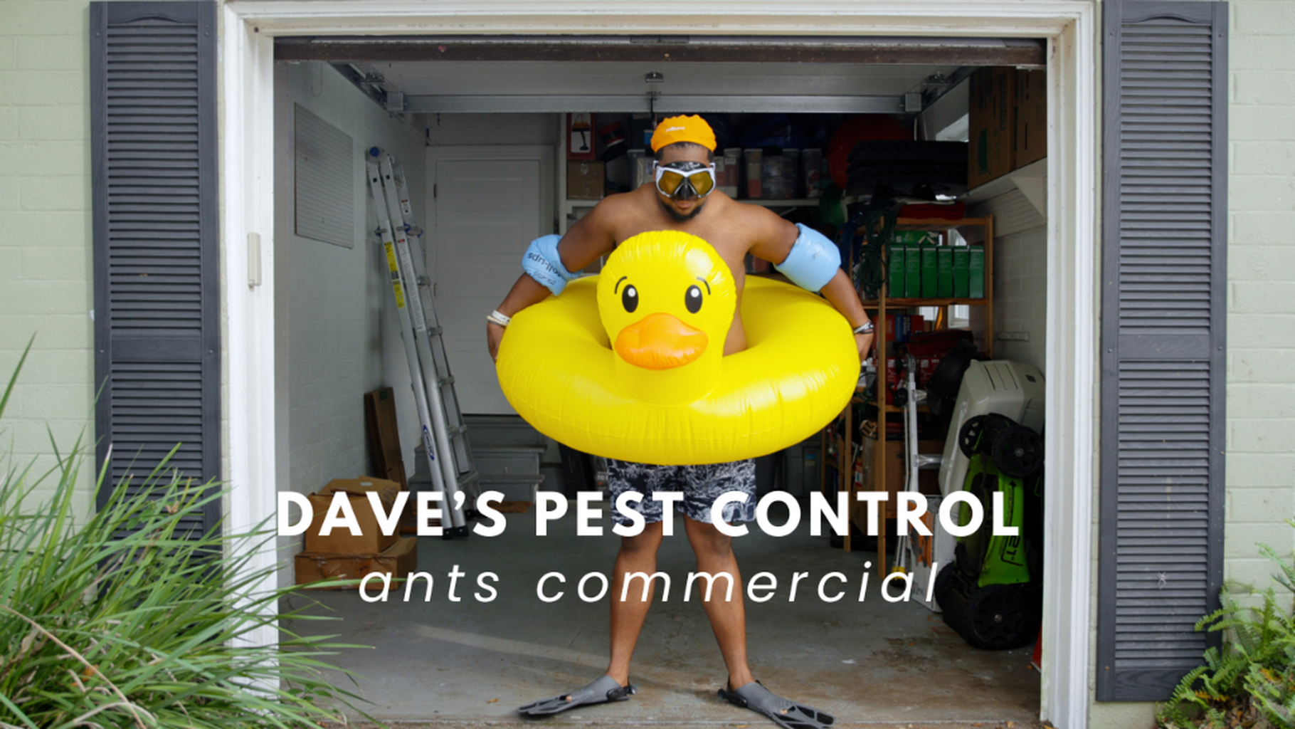 DAVE'S PEST ANTS COMMERCIAL [CLICK TO VIEW]