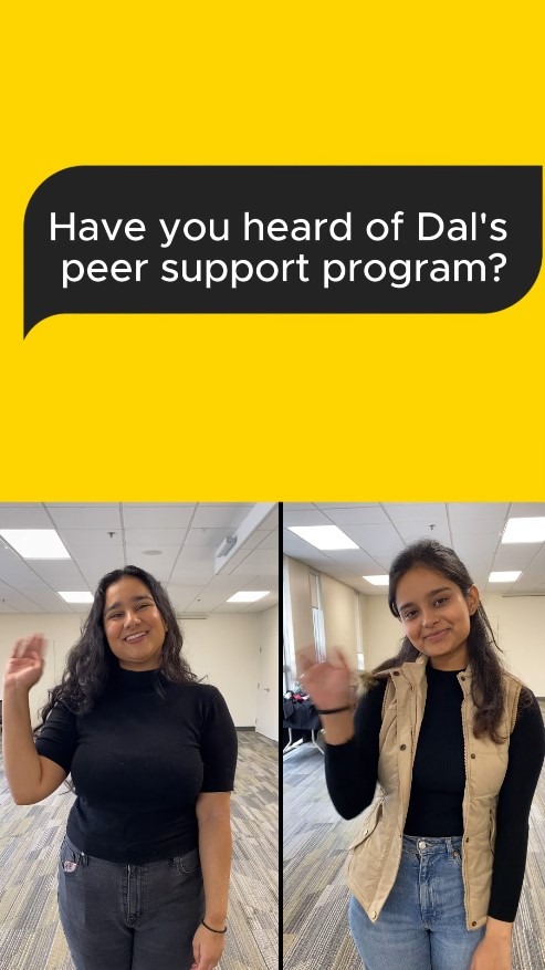 Peer Support Services
